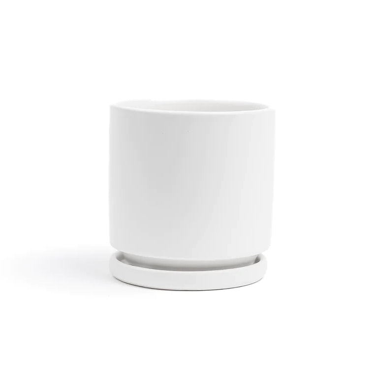 6.5" Ceramic Cylinder Planter with Plate