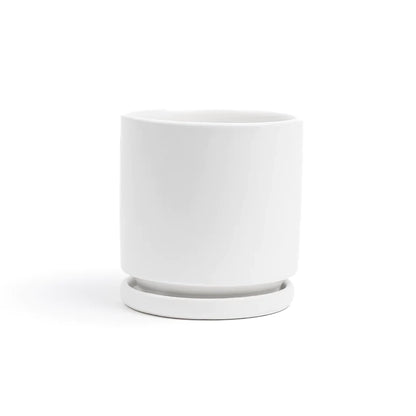 6.5" Ceramic Cylinder Planter with Plate
