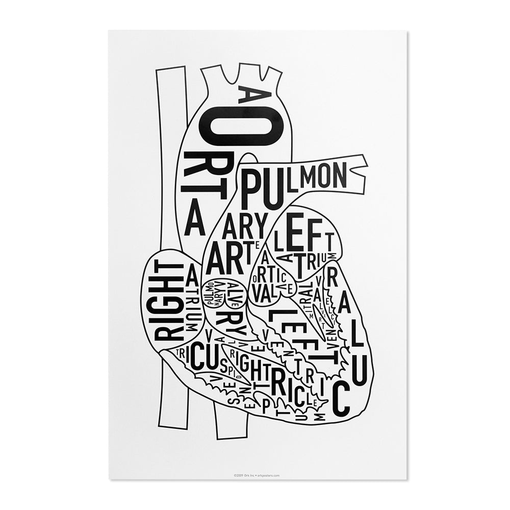 Typographic Anatomical Heart Diagram Print