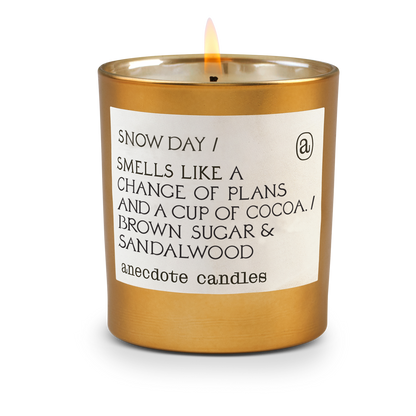 Holiday Anecdote Coconut Soy Wax Candle