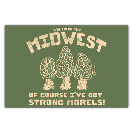 Midwest Morels Postcard