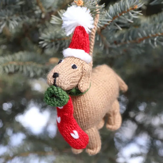 Dog with Stocking Knit Ornament