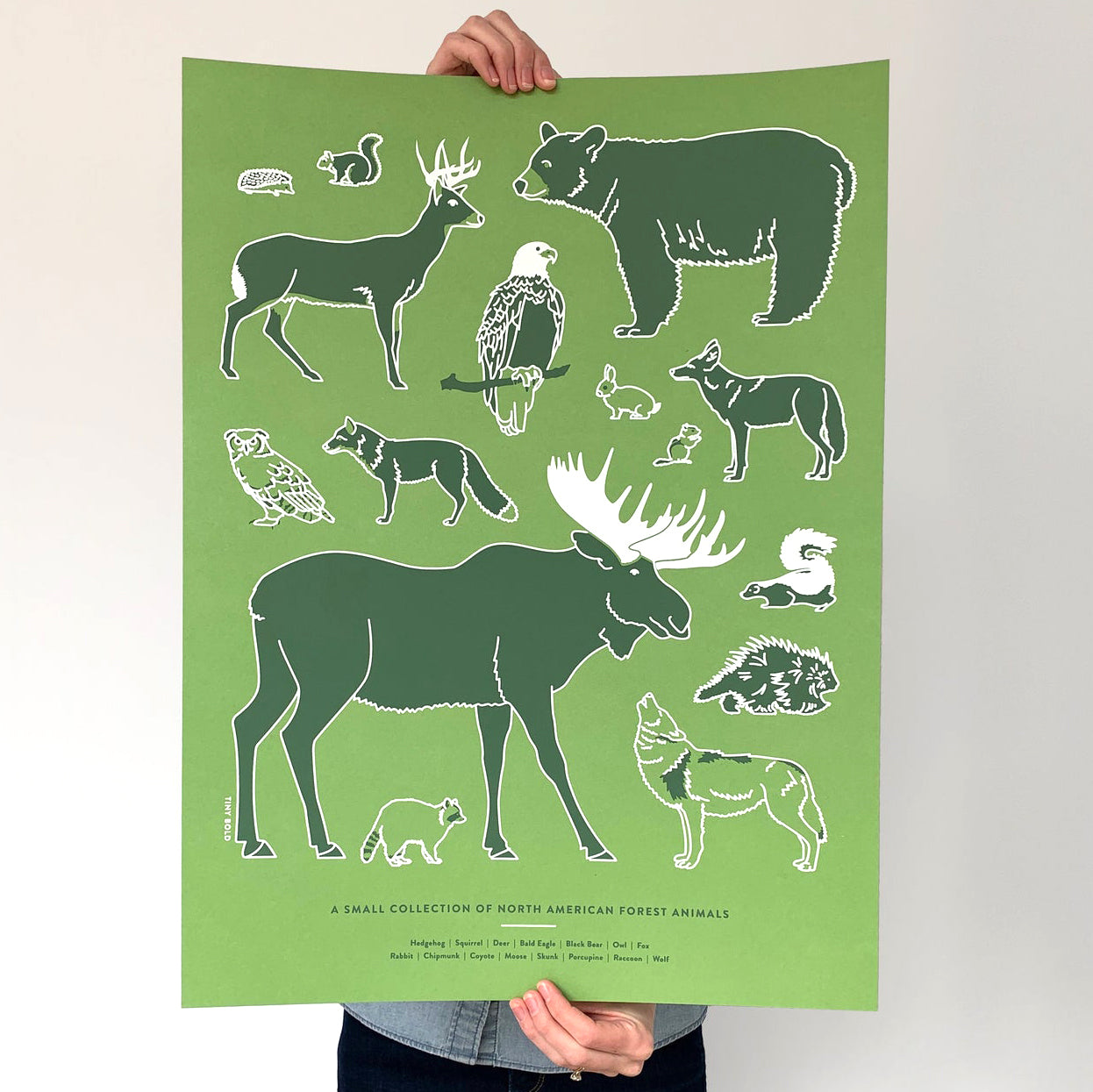 North American Forest Animals 18" x 24" Screenprint