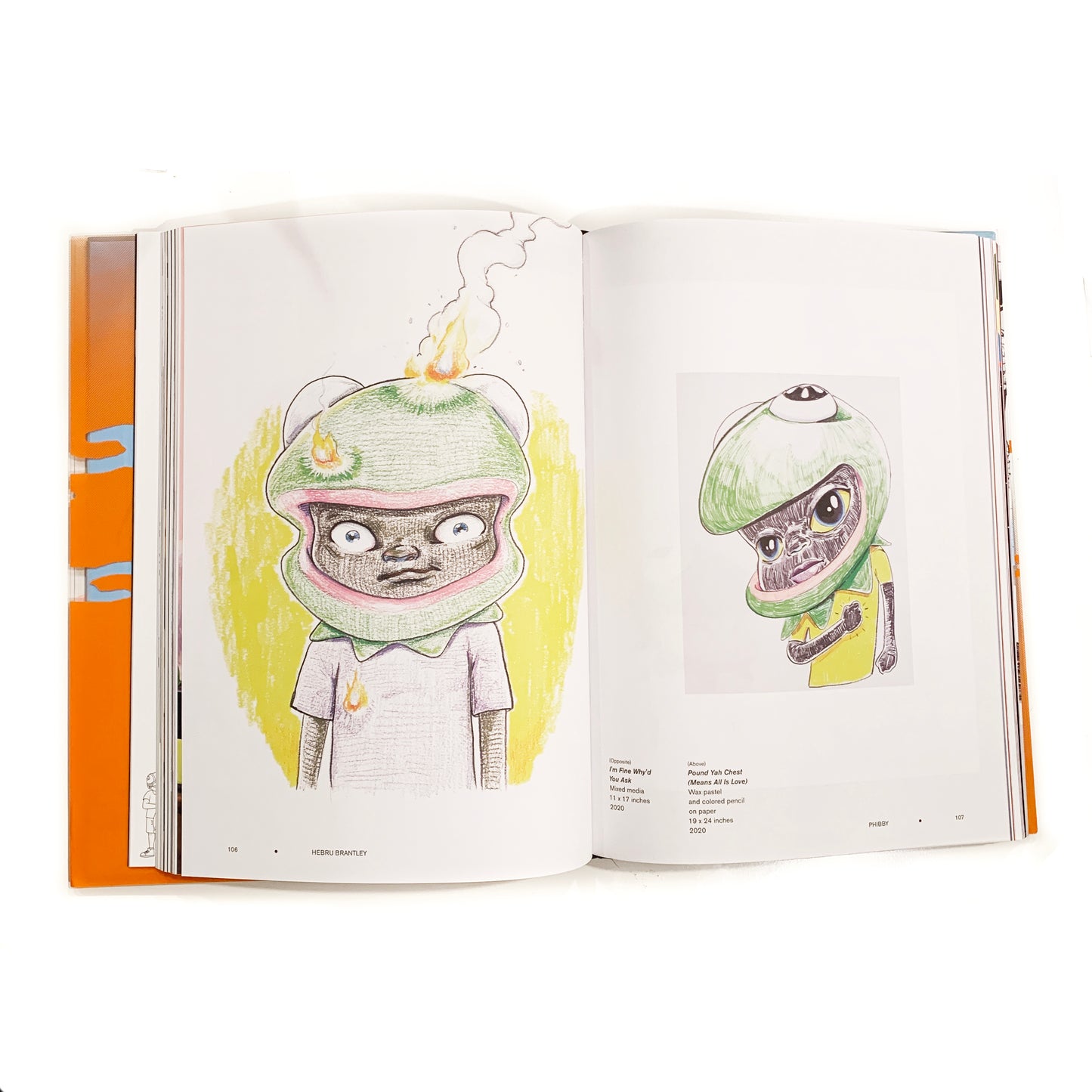 Hebru Brantley Book