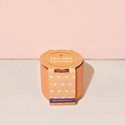 Tiny Terracotta Grow Kit