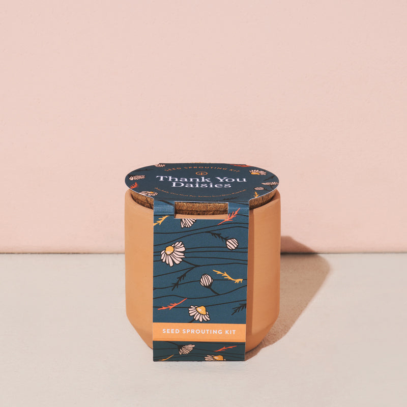 Tiny Terracotta Grow Kit