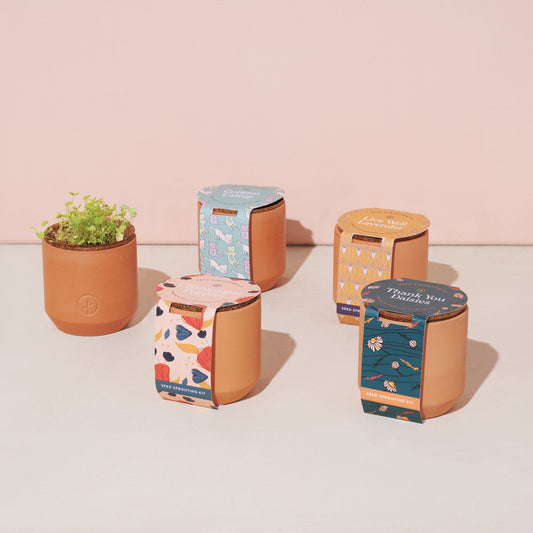 Tiny Terracotta Grow Kit