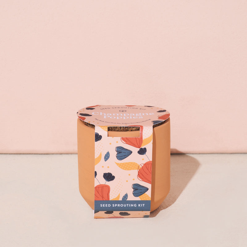 Tiny Terracotta Grow Kit