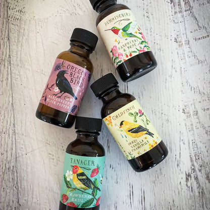 Sweet Bird Simple Syrup Collection Sampler Pack (Set of 4)