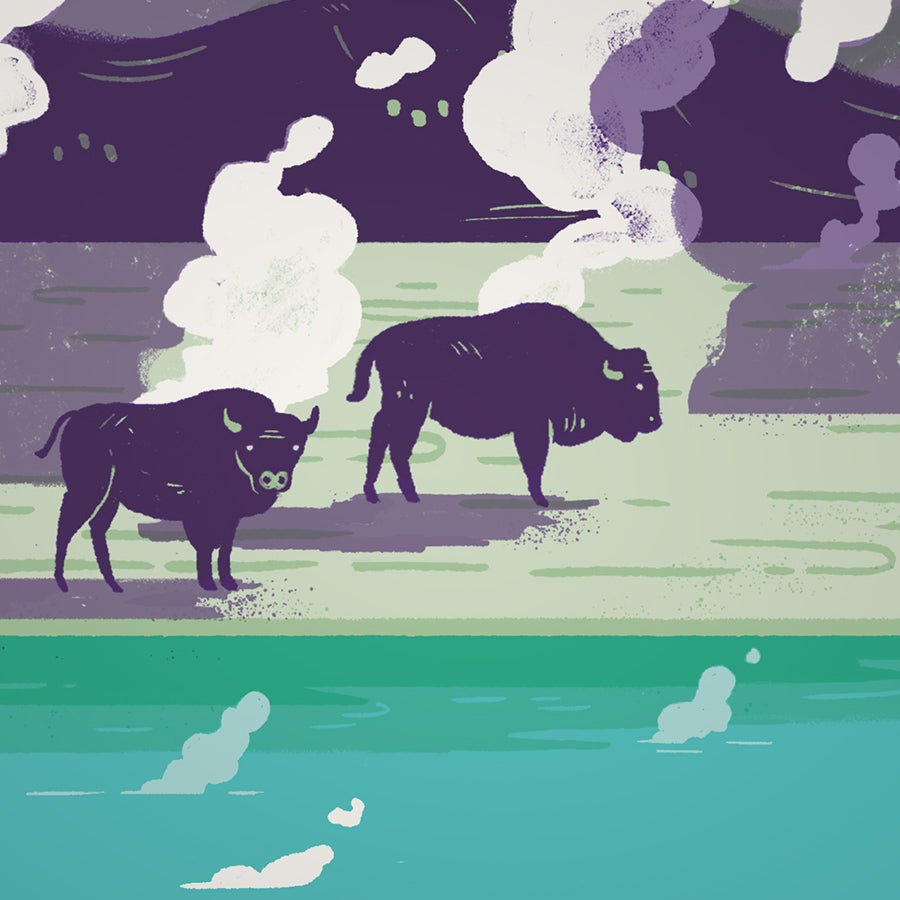Yellowstone National Park 18" x 24" Screenprint